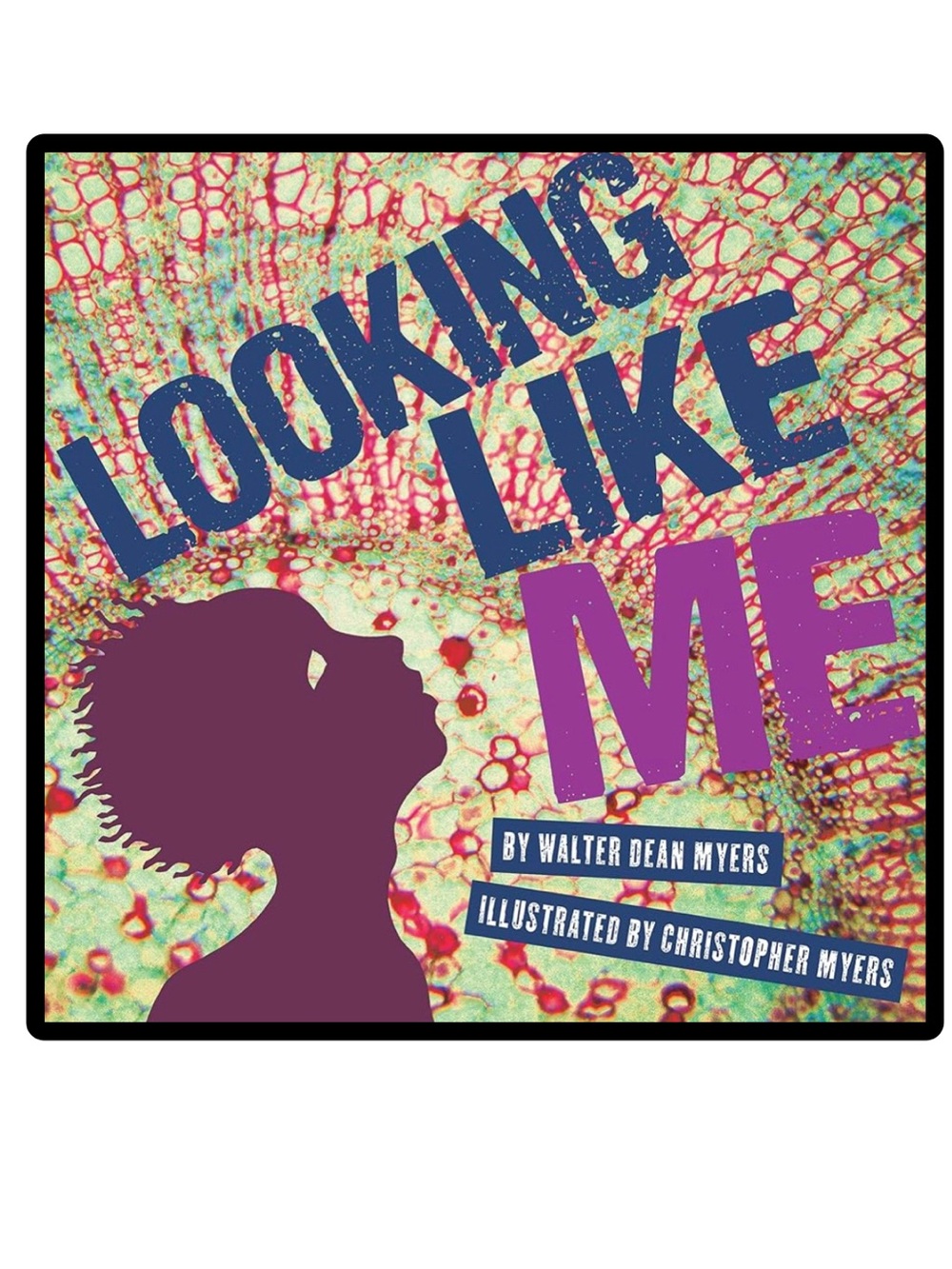 BUNDLE & SAVE🎉 Looking Like Me Softcover Children's Book by Walter Dean Myers